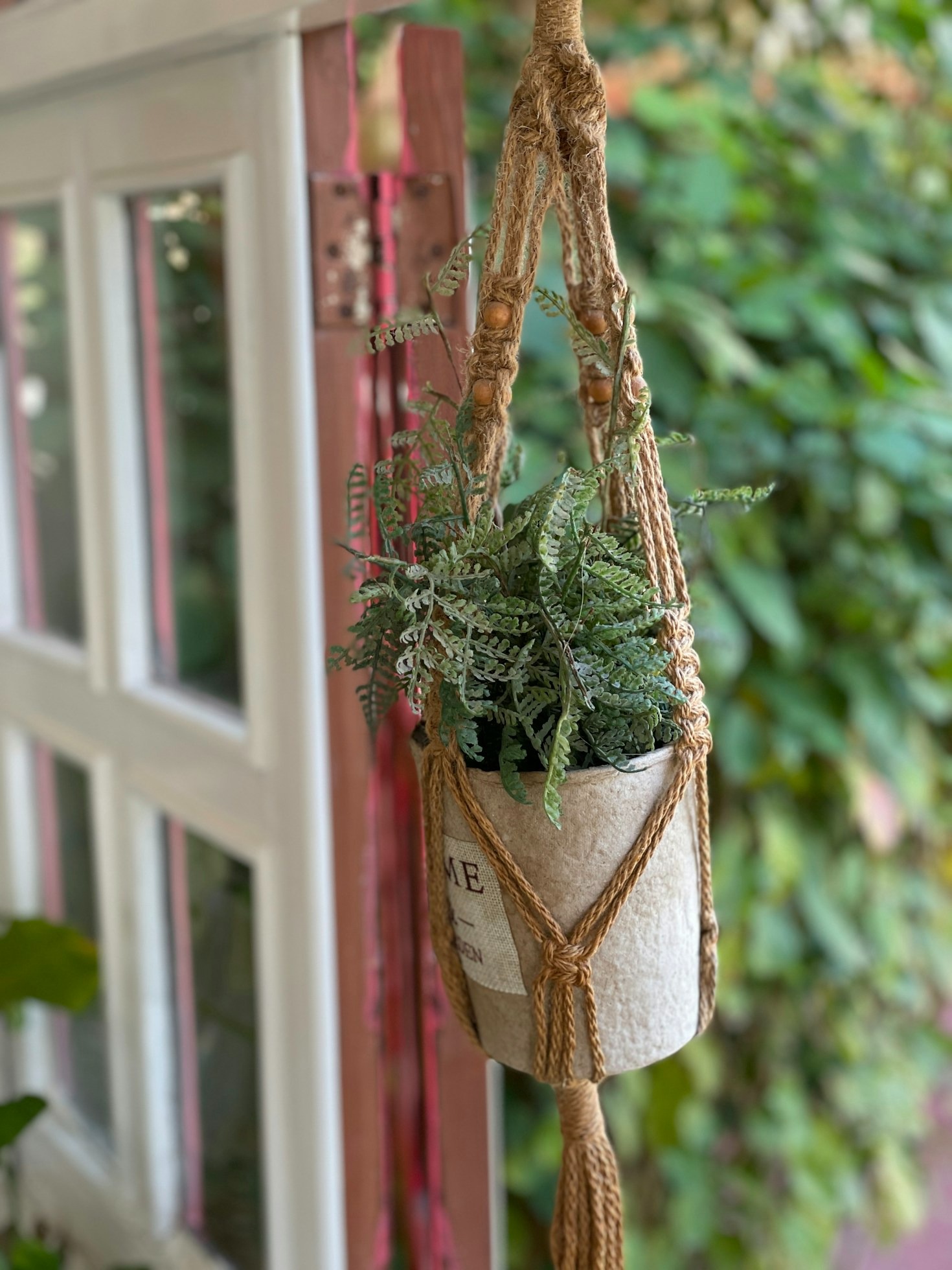 5 onmisbare hangplanten voor elk Belgisch huis